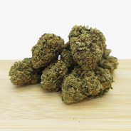 SHEM BASTET (Gorilla Glue)