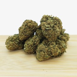 SHEM BASTET (Gorilla Glue)
