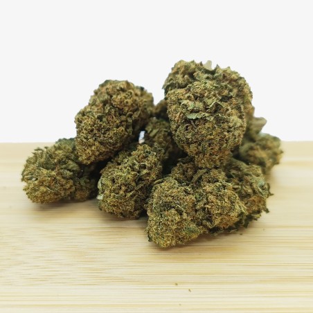 SHEM BASTET (Gorilla Glue)