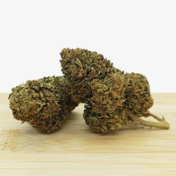 SHEM AMOM (Bubba Kush)