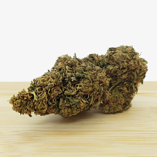 Fleur CBD Shem Nout Orange Bud CBDV Kyphi