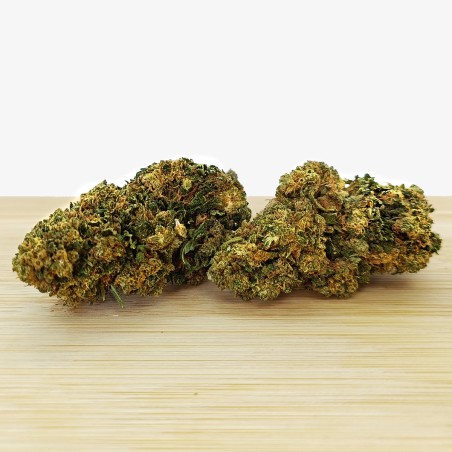 Fleur Shem Maât - Variété Amnesia